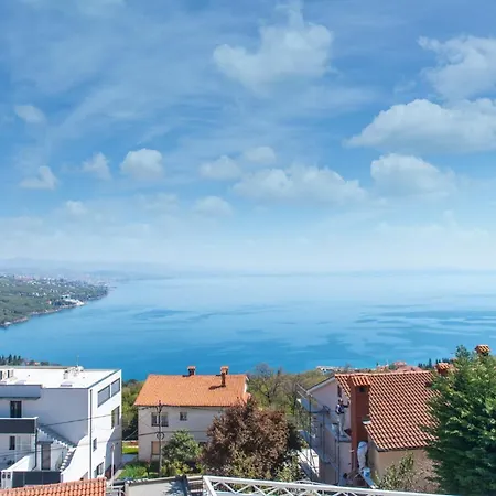 Villa Premium Villa, Heatable Infinity Pool, Jacuzzi And Seaview, And Just 10min By Foot Volosko